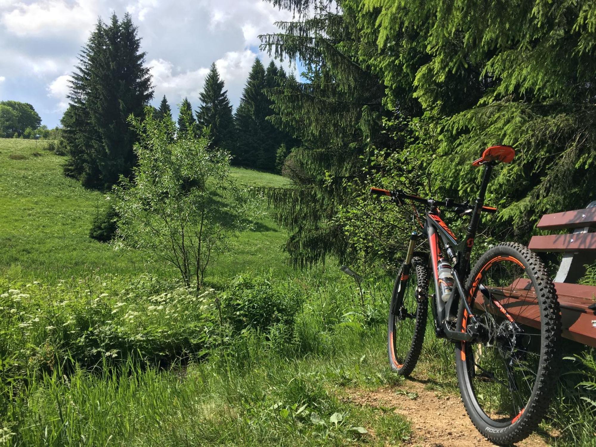 Zur Bergwiese 5 Sterne Appartementhaus Furstenau  Pokój zdjęcie