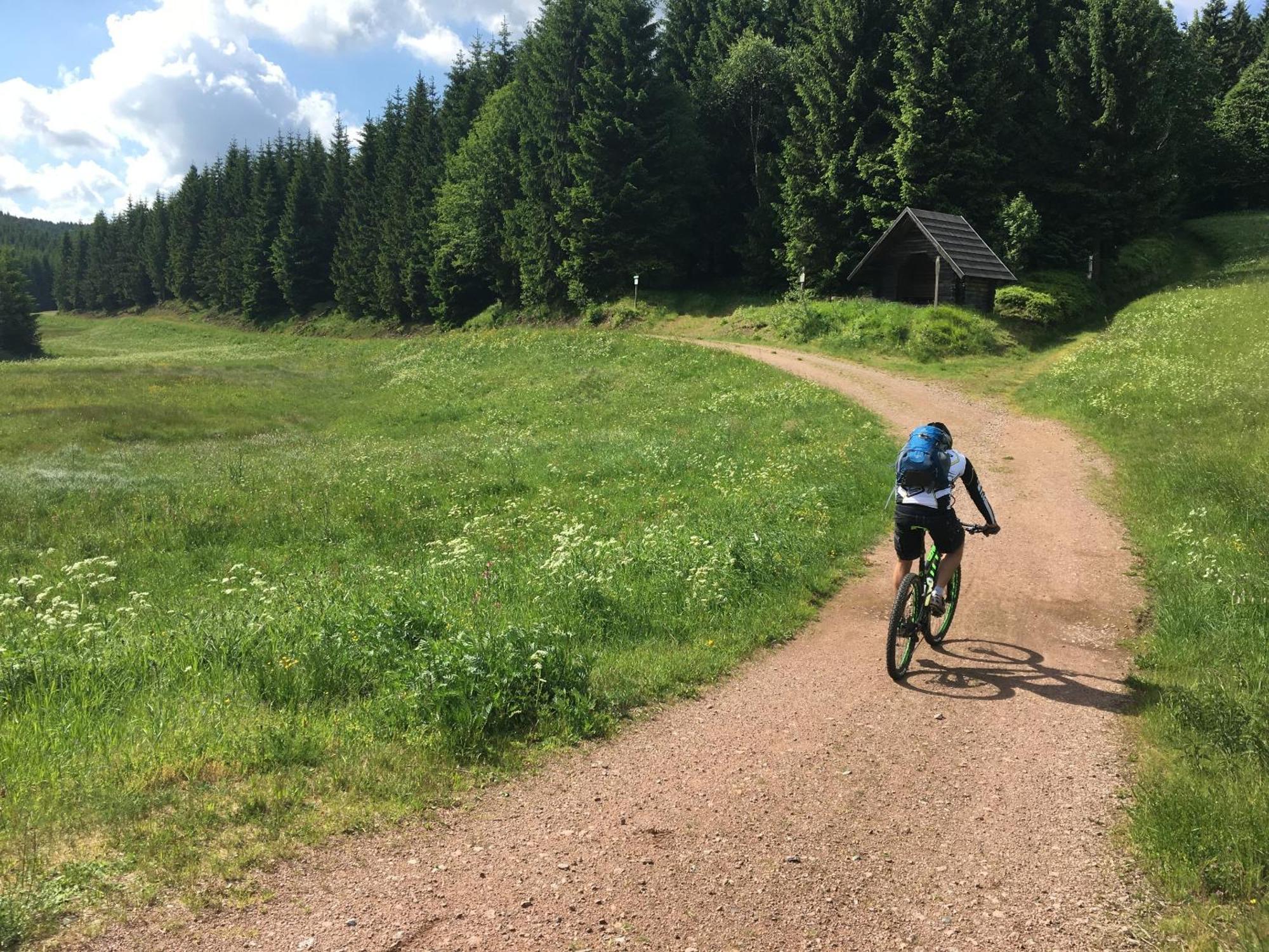 Zur Bergwiese 5 Sterne Appartementhaus Furstenau  Zewnętrze zdjęcie